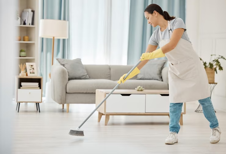 From Stains to Freshness: The Magic of Professional Carpet Cleaning